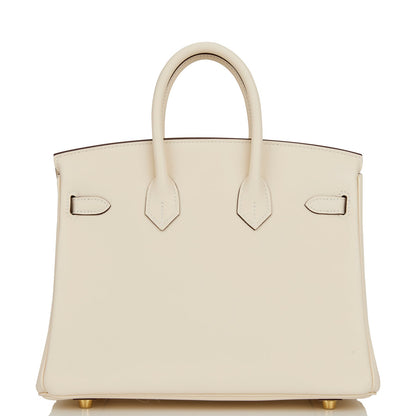 Hermes Birkin 25 Nata Swift Gold Hardware