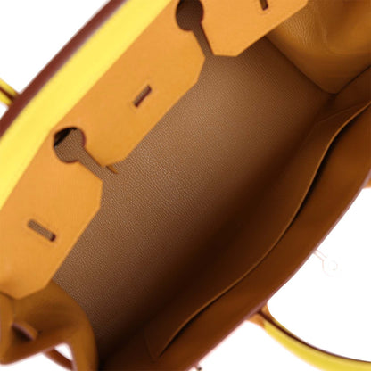 Hermes Birkin 35 Sellier Rainbow Epsom Palladium Hardware