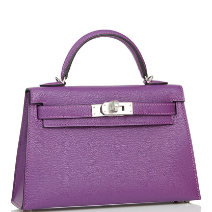 Hermes Kelly 20 Sellier Violet Verso Chèvre Palladium Hardware