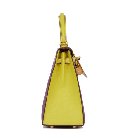 Hermes Kelly 25 Sellier Anemone and Lime Chevre Brushed Gold Hardware