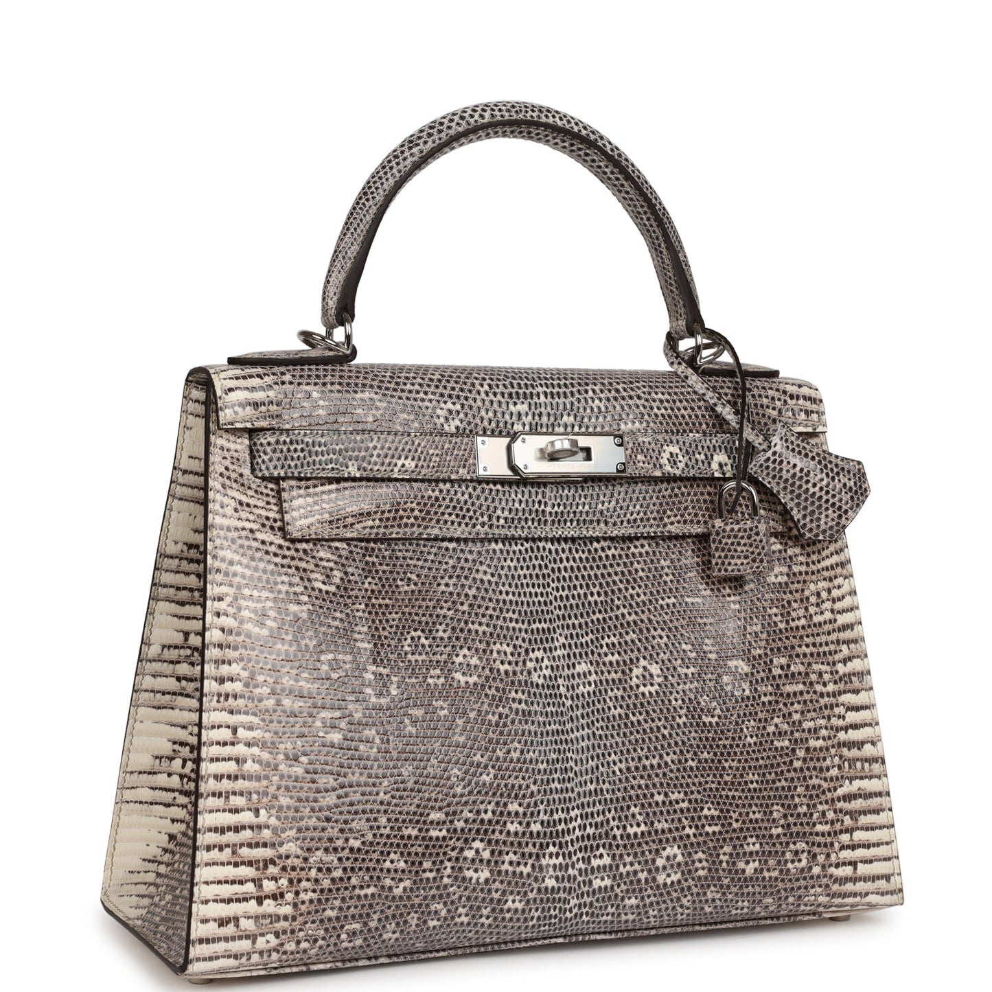 Hermes Kelly 28 Sellier Ombre Veranus Salvator Lizard Palladium Hardware