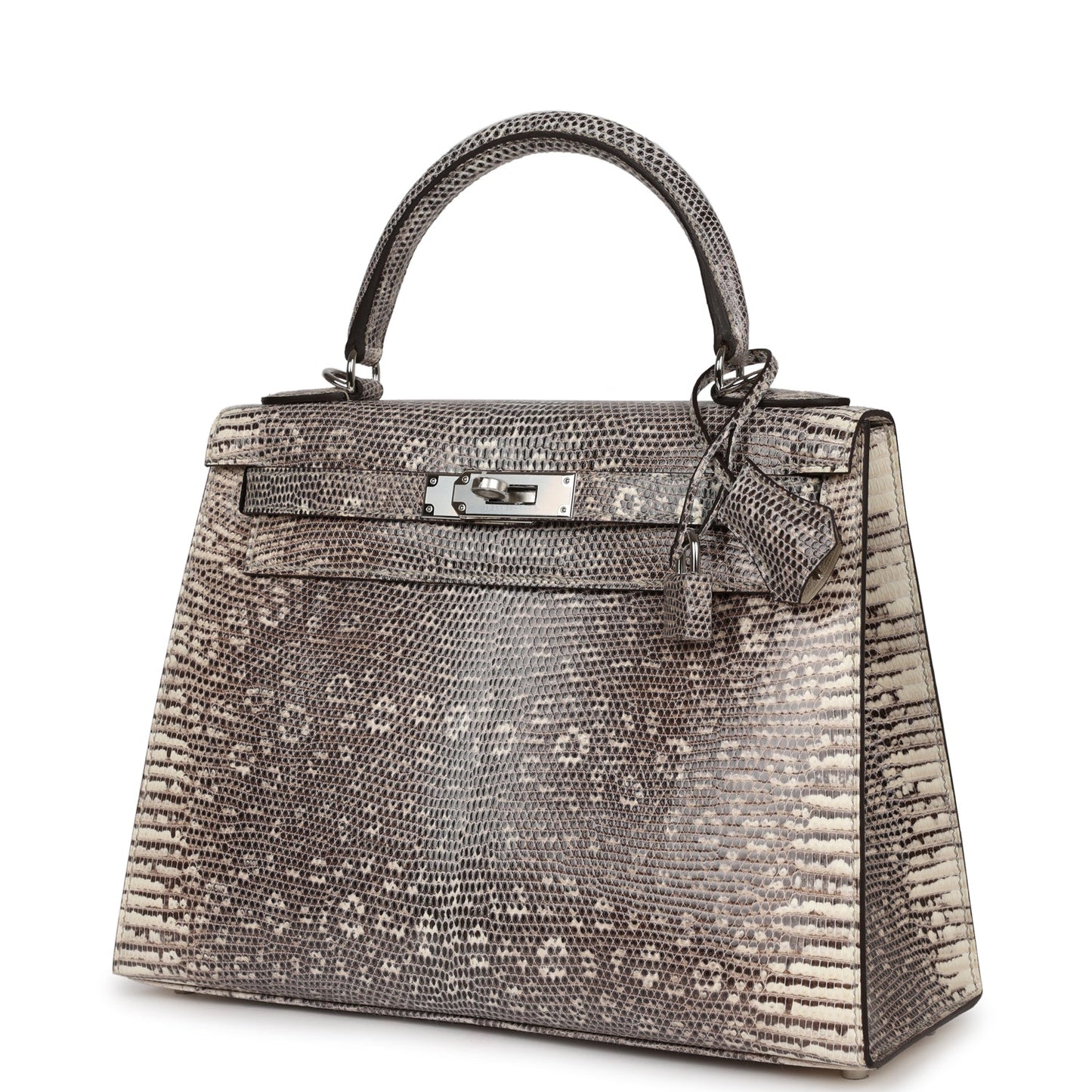 Hermes Kelly 28 Sellier Ombre Veranus Salvator Lizard Palladium Hardware