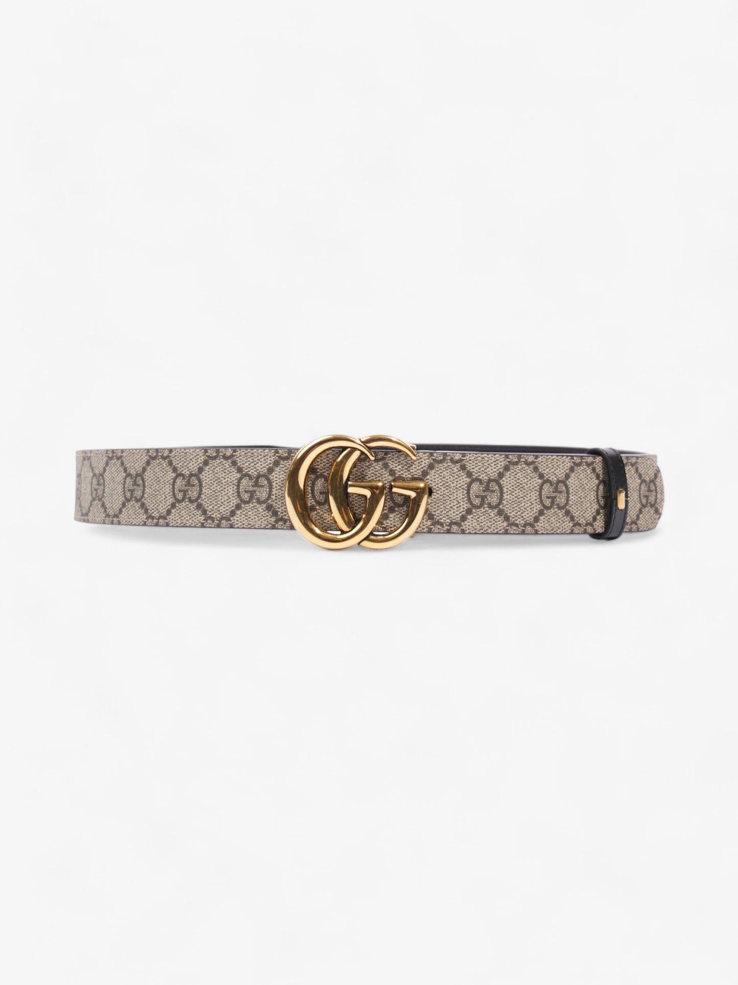 Gucci Marmont Reversible Belt Supreme Coated Canvas 80cm 32"