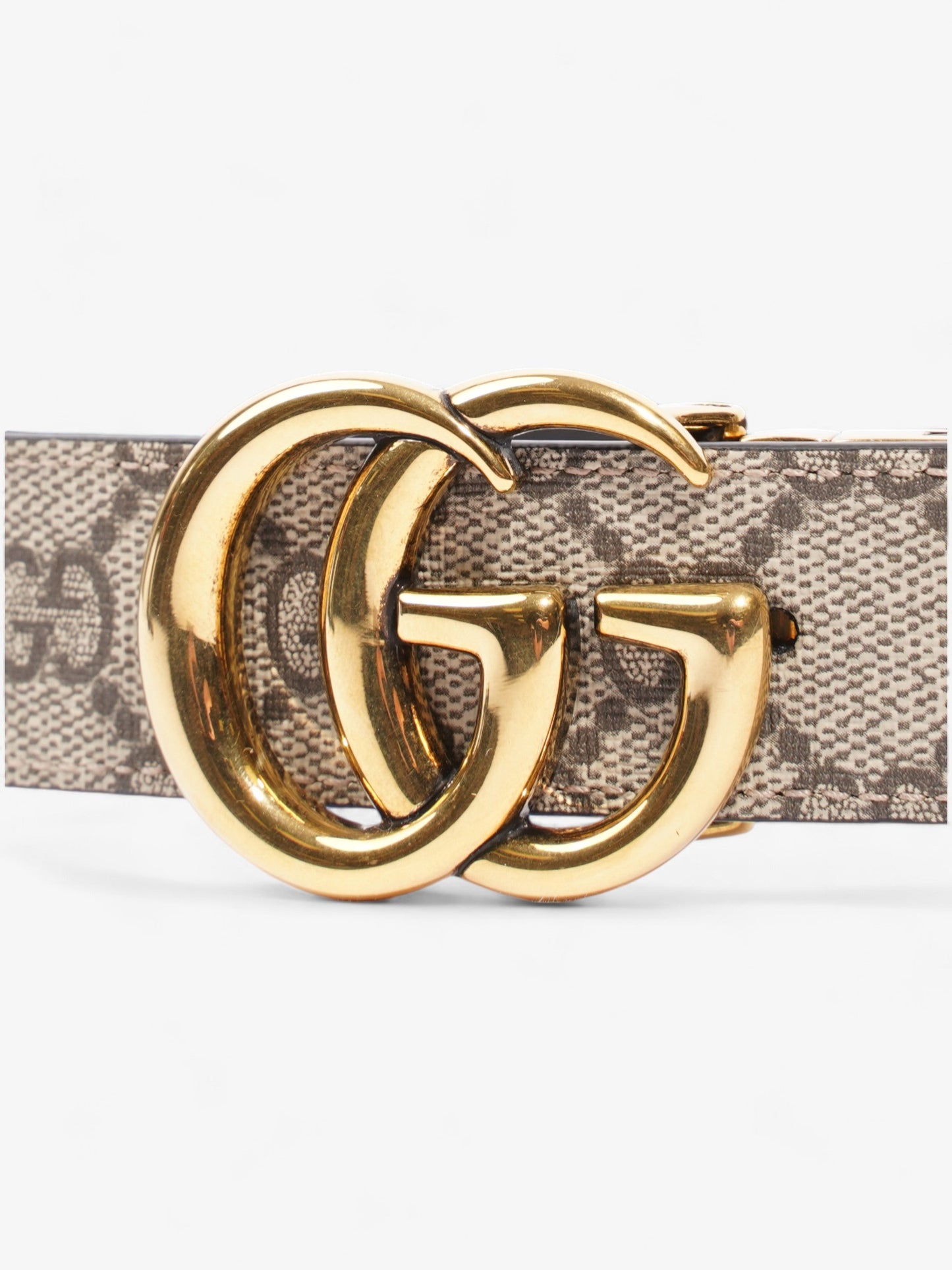 Gucci Marmont Reversible Belt Supreme Coated Canvas 80cm 32"