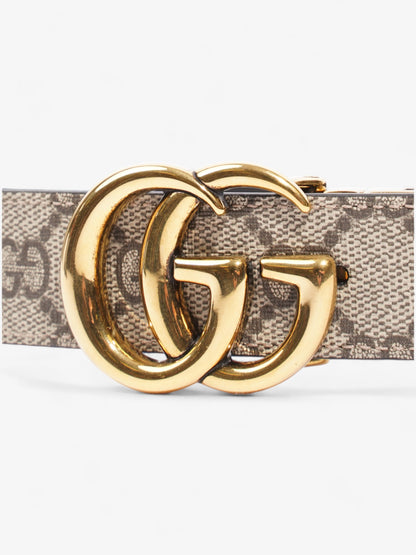 Gucci Marmont Reversible Belt Supreme Coated Canvas 80cm 32"