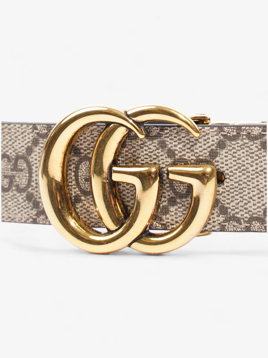 Gucci Marmont Reversible Belt Supreme Coated Canvas 80cm 32"