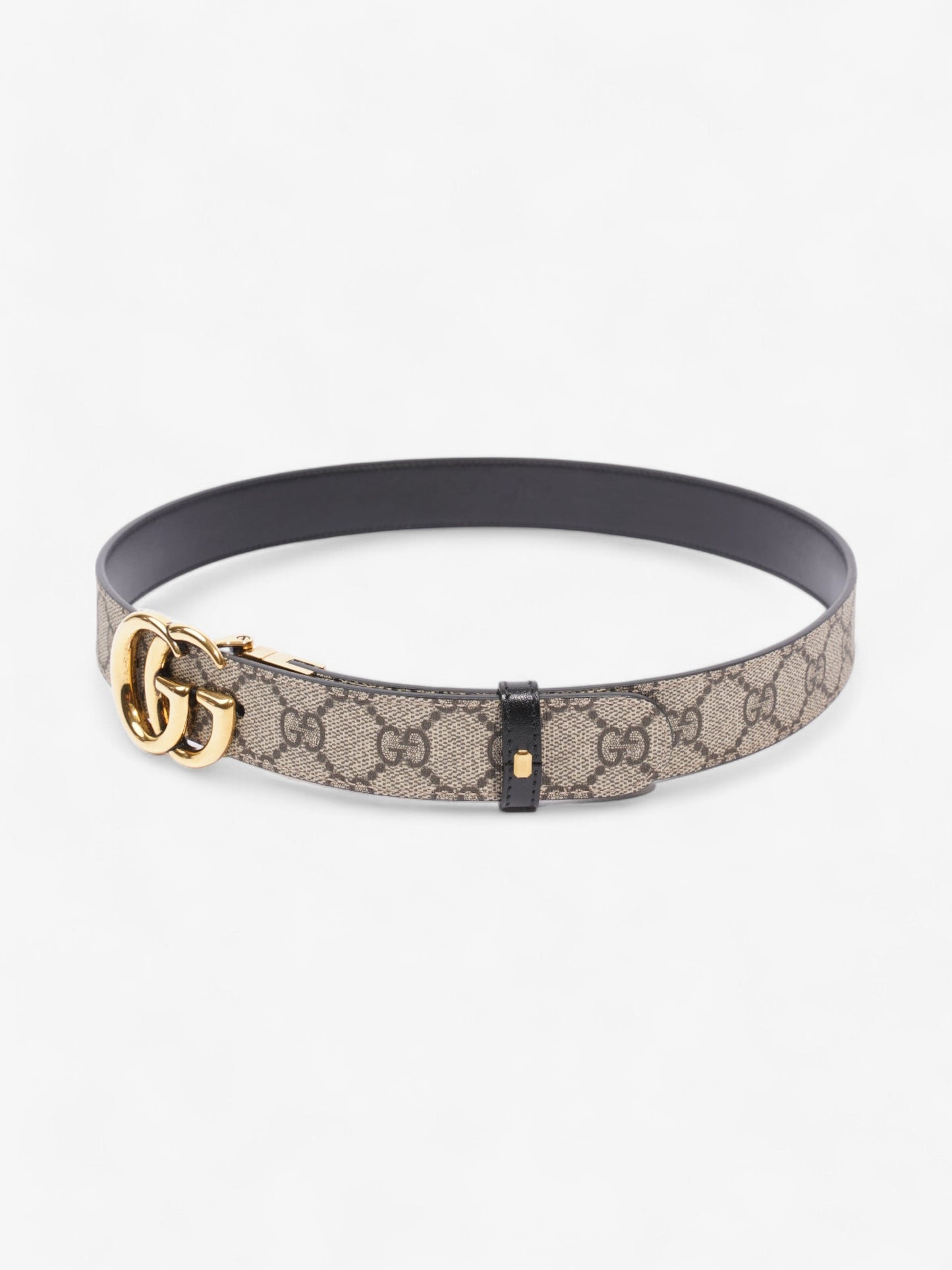 Gucci Marmont Reversible Belt Supreme Coated Canvas 80cm 32"