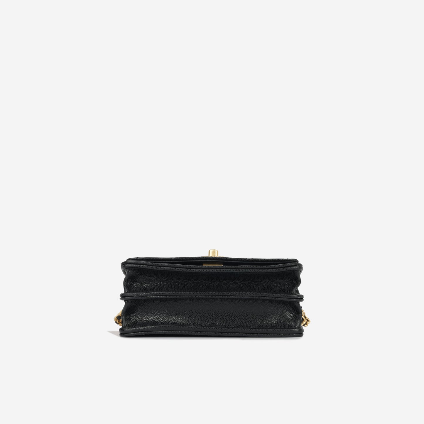 Chanel Small Clutch on Chain