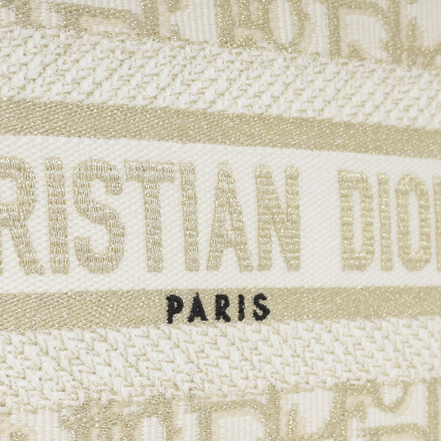 Christian Dior Mini Book Tote