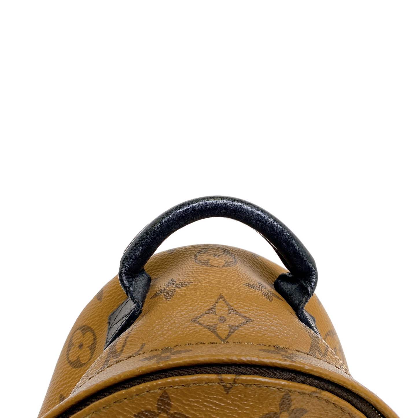 Louis Vuitton MINI PALM SPRINGS