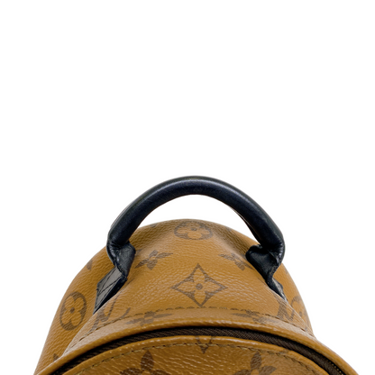 Louis Vuitton MINI PALM SPRINGS