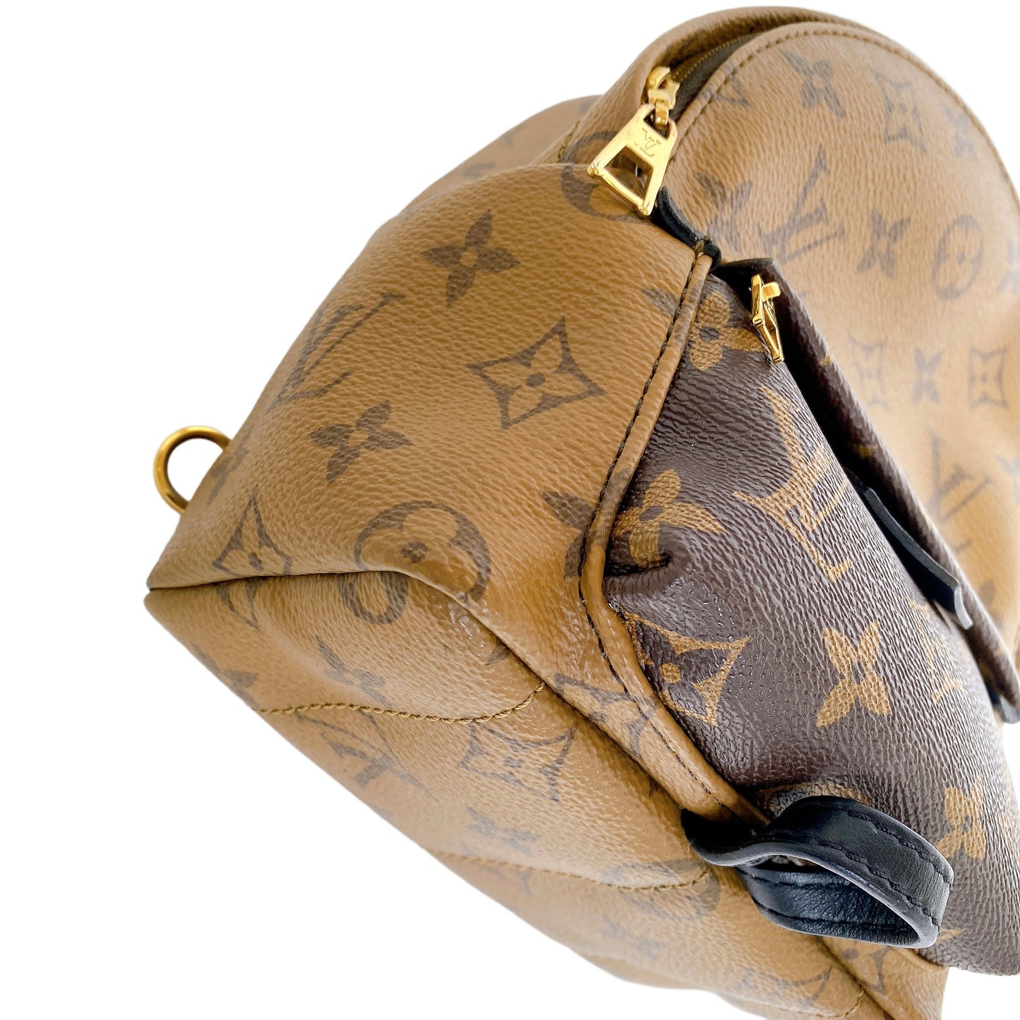 Louis Vuitton MINI PALM SPRINGS