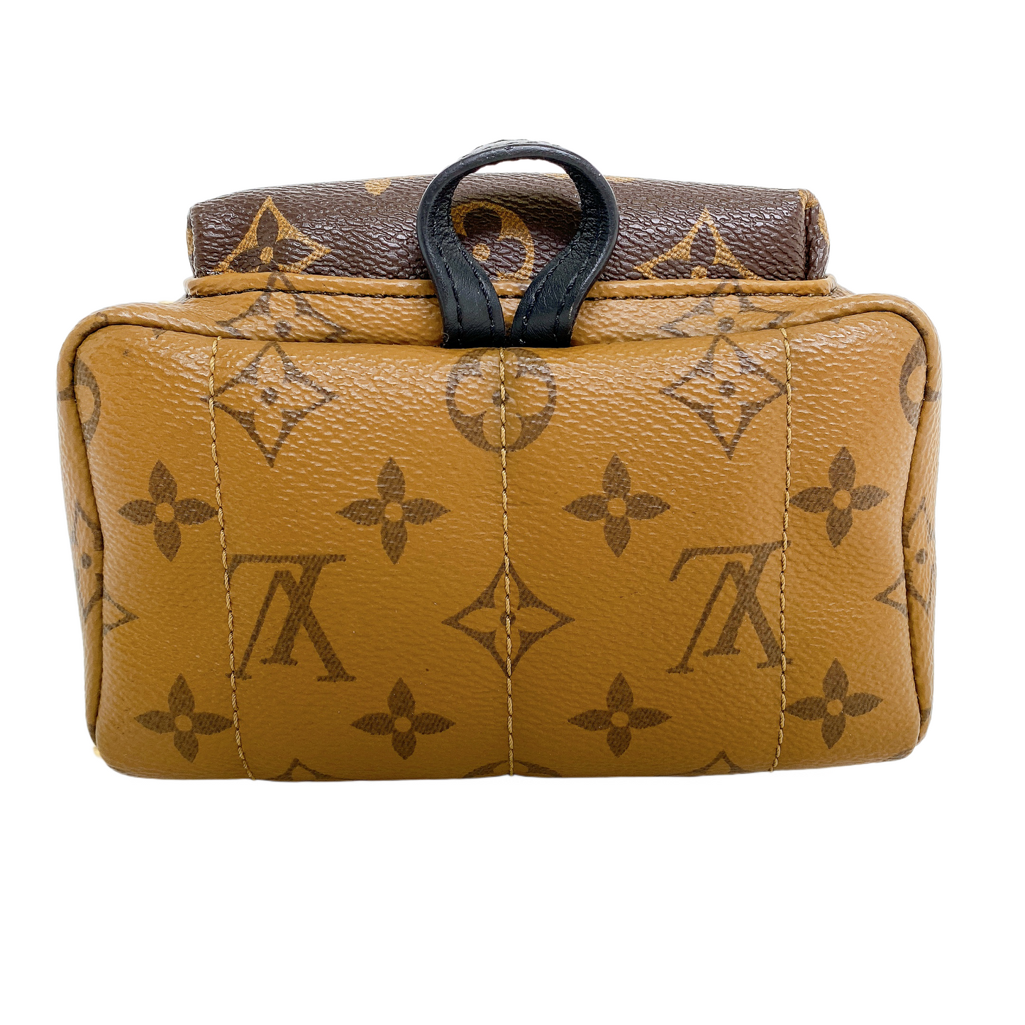 Louis Vuitton MINI PALM SPRINGS