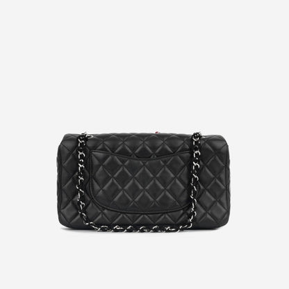 Chanel Medium Lady Bug Flap