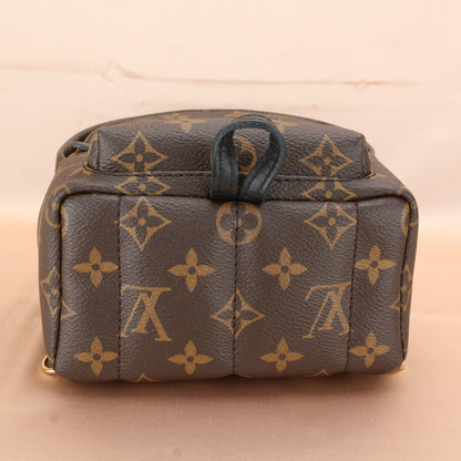 Louis Vuitton Palm Springs Mini Backpack