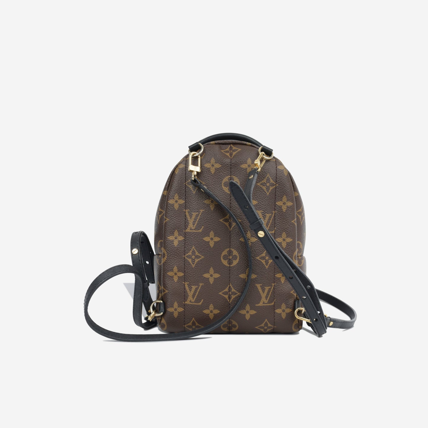 Louis Vuitton Palm Springs BB - Monogram GHW