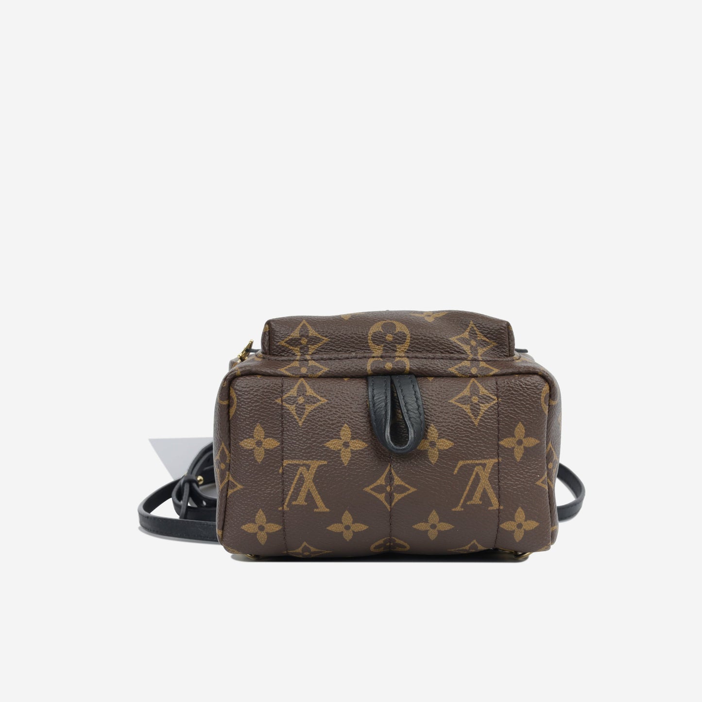 Louis Vuitton Palm Springs BB - Monogram GHW