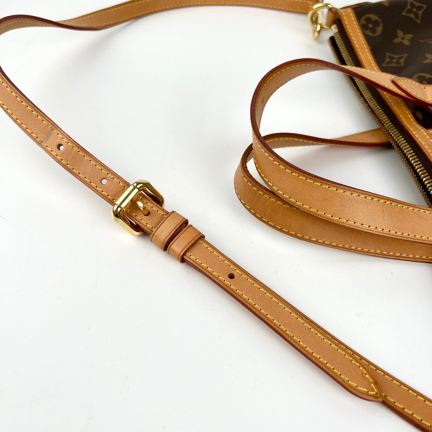 Louis Vuitton Palermo PM Bag Monogram