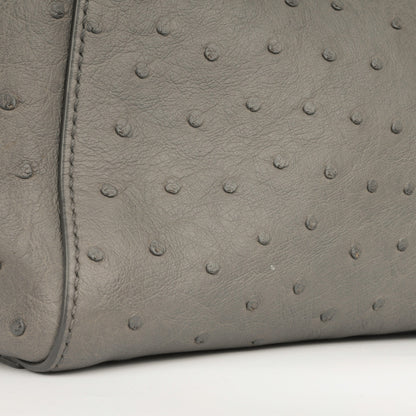 Fendi Mini Peekaboo - Grey Ostrich