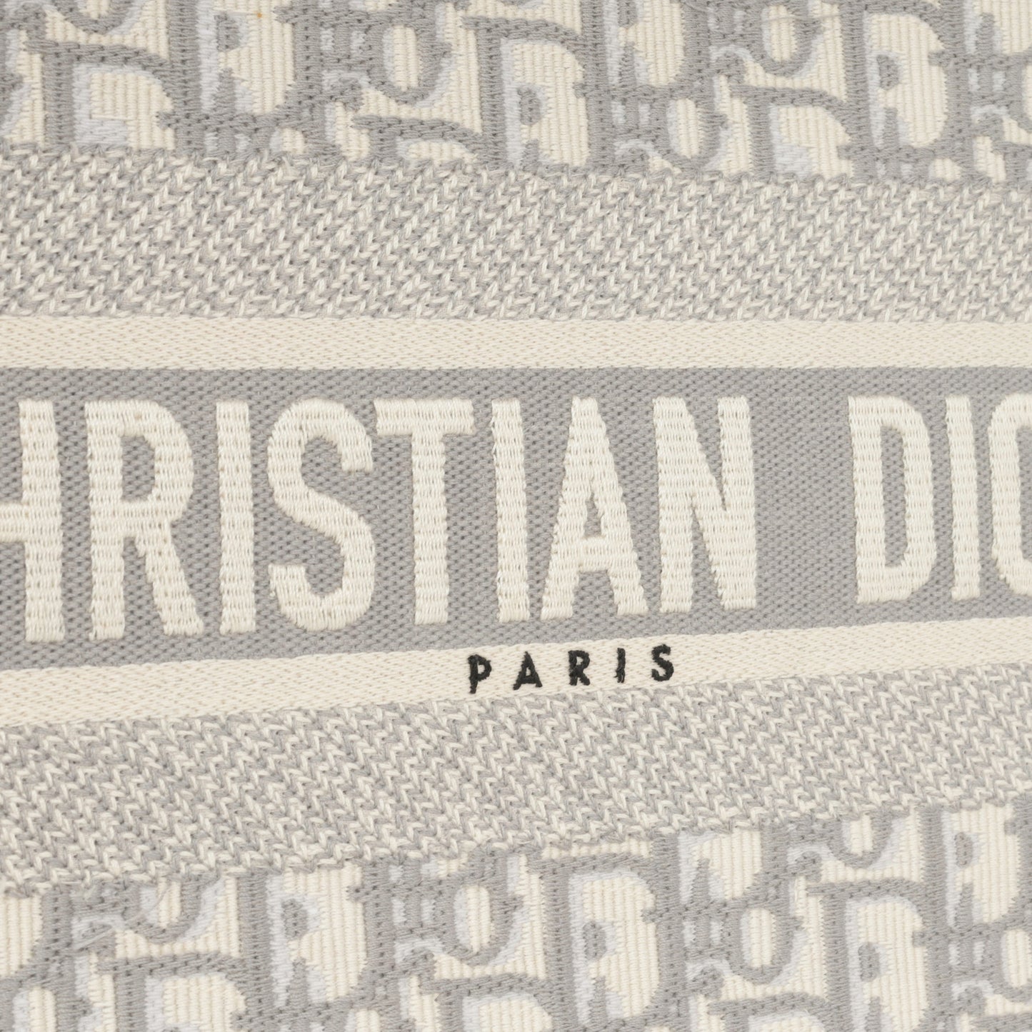 Christian Dior Medium Book Tote