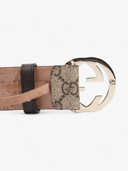 Gucci Interlocking G Belt GG Supreme Canvas 80cm / 32"