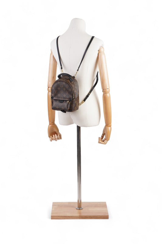 Louis Vuitton Palm Springs Monogram Coated Canvas Mini