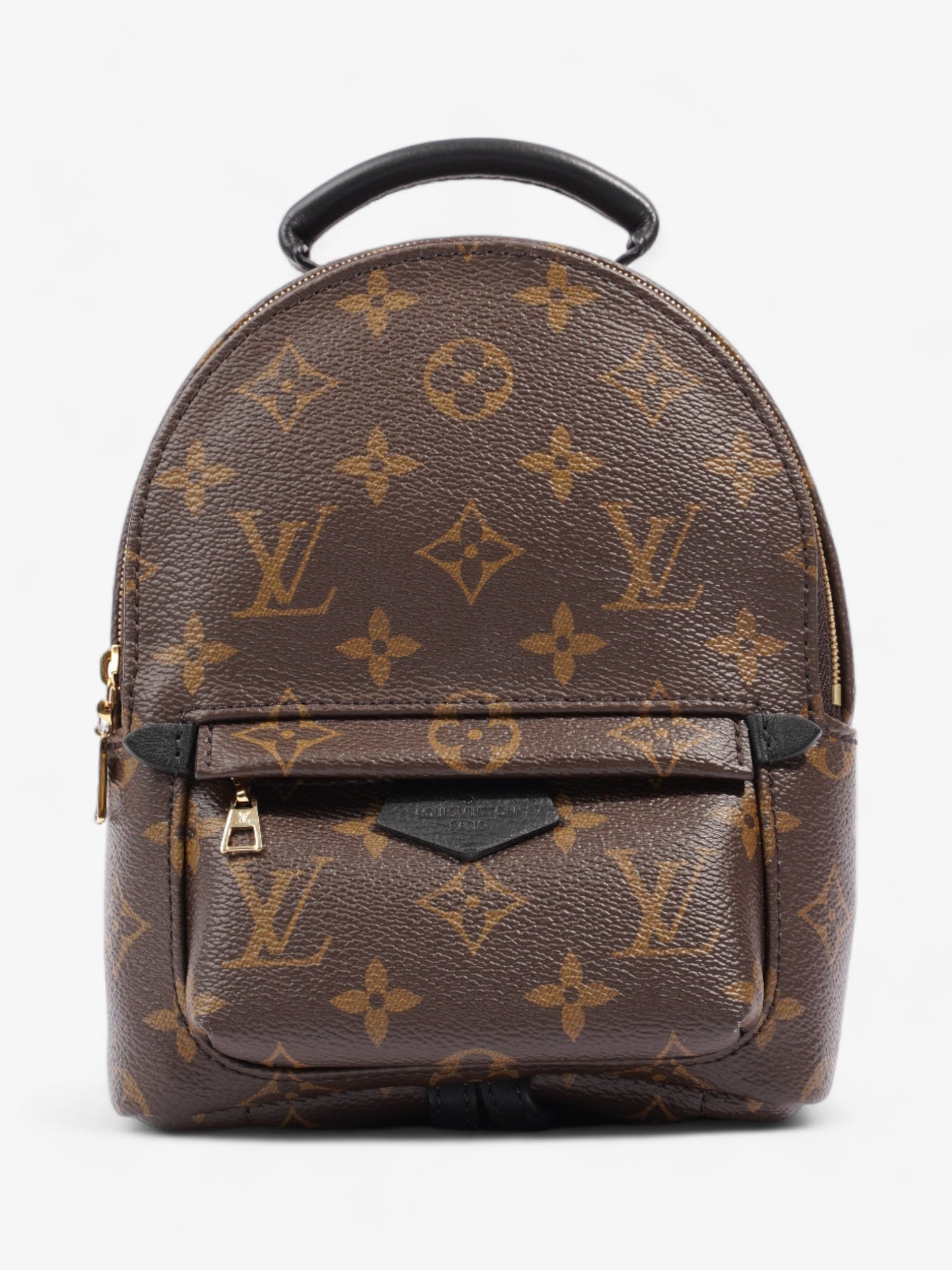 Louis Vuitton Palm Springs Monogram Coated Canvas Mini