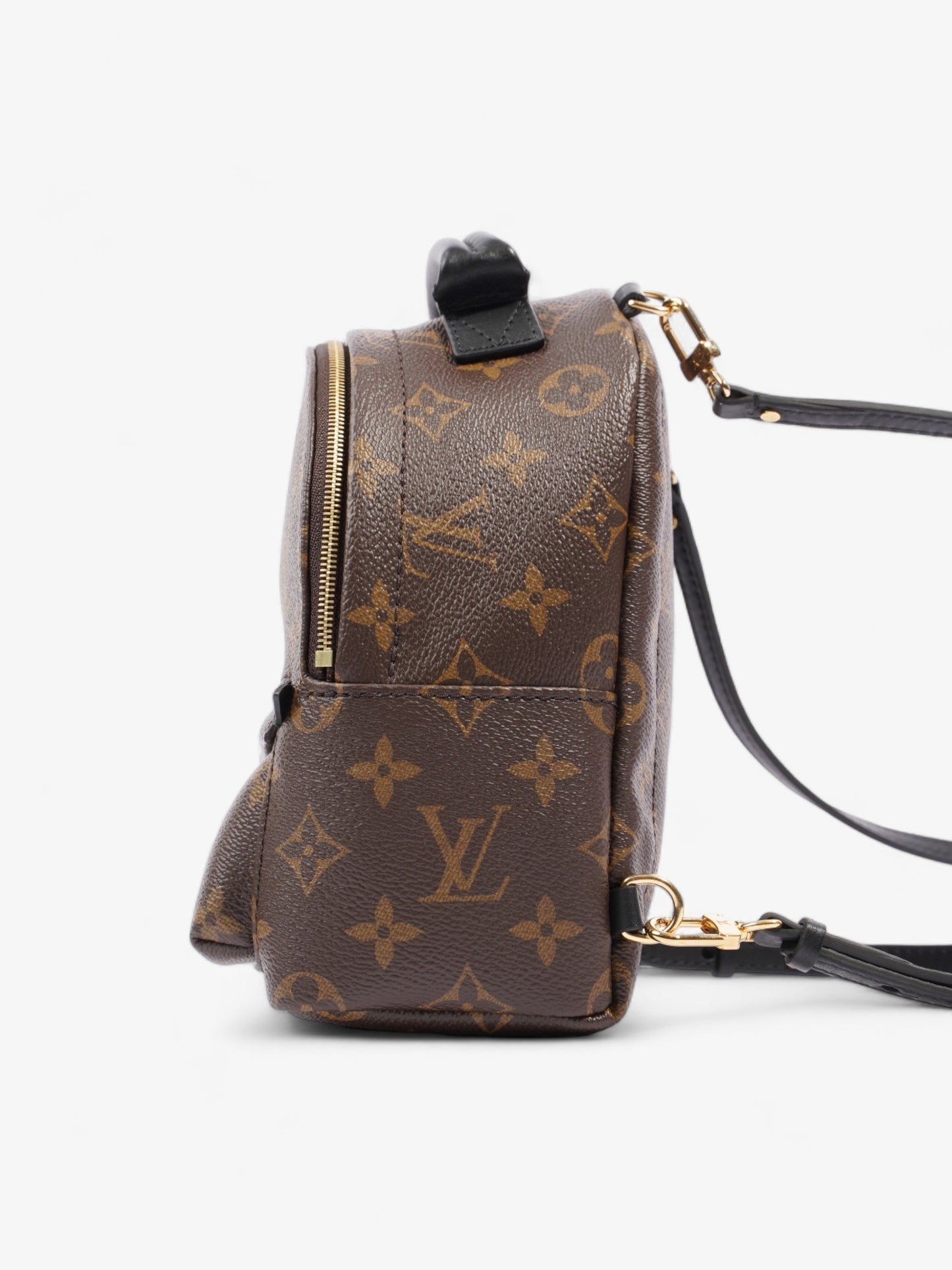 Louis Vuitton Palm Springs Monogram Coated Canvas Mini