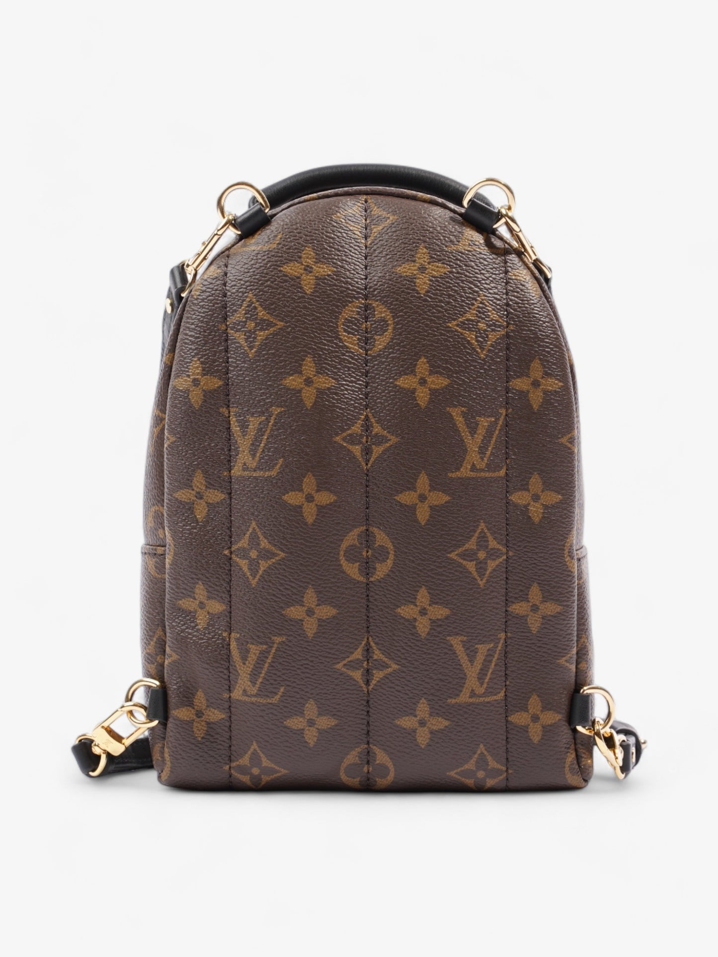 Louis Vuitton Palm Springs Monogram Coated Canvas Mini