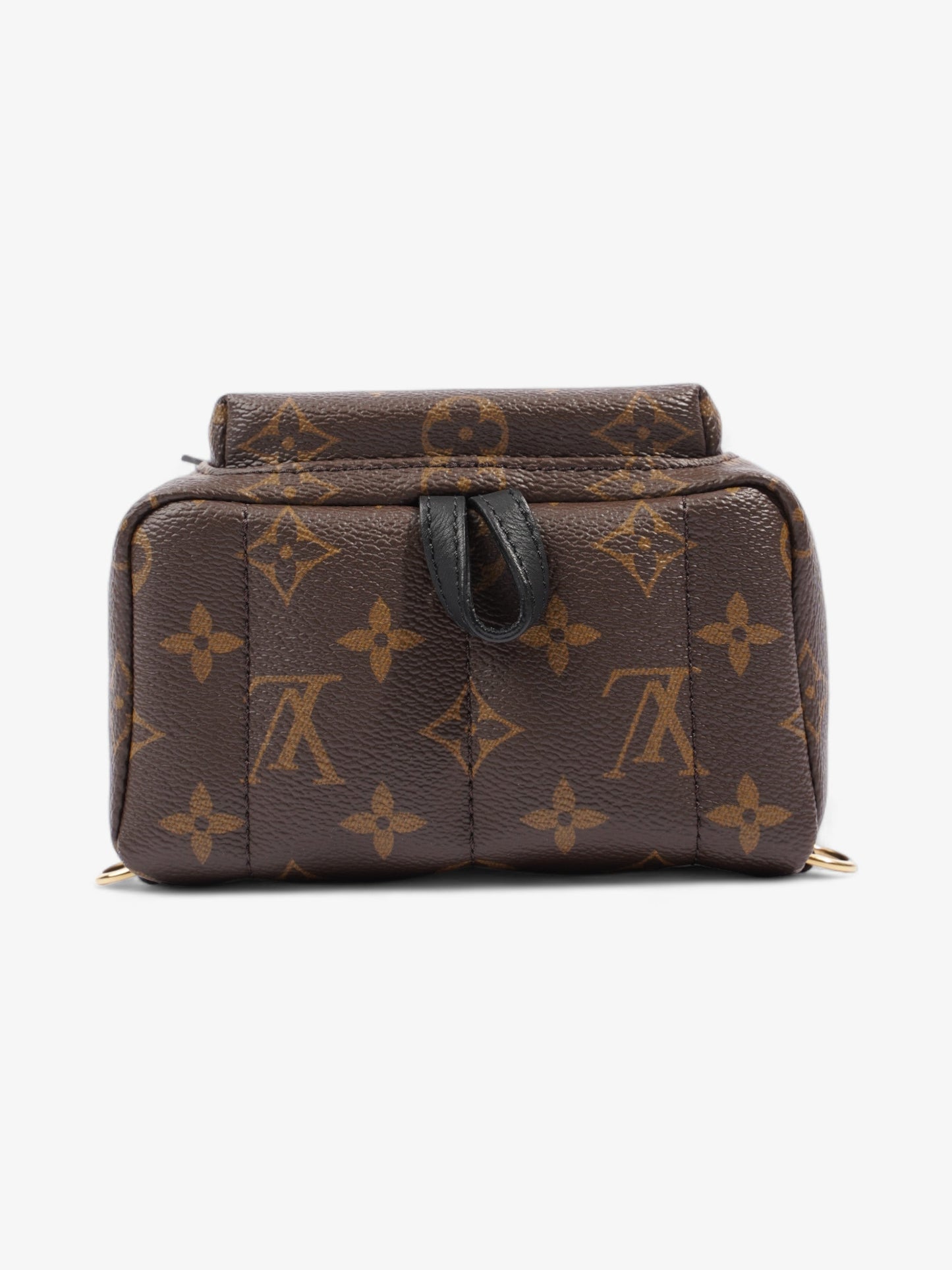 Louis Vuitton Palm Springs Monogram Coated Canvas Mini