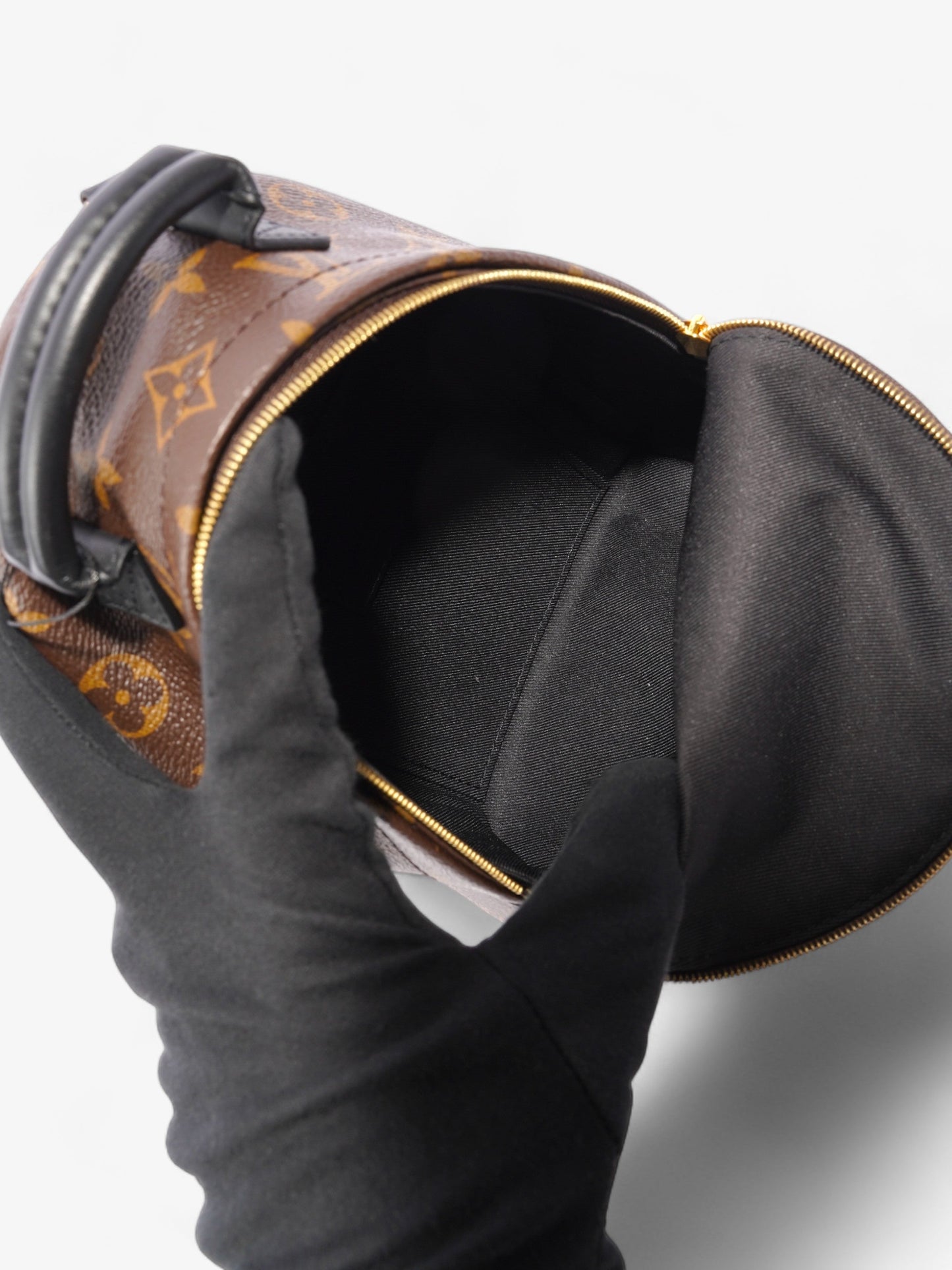 Louis Vuitton Palm Springs Monogram Coated Canvas Mini