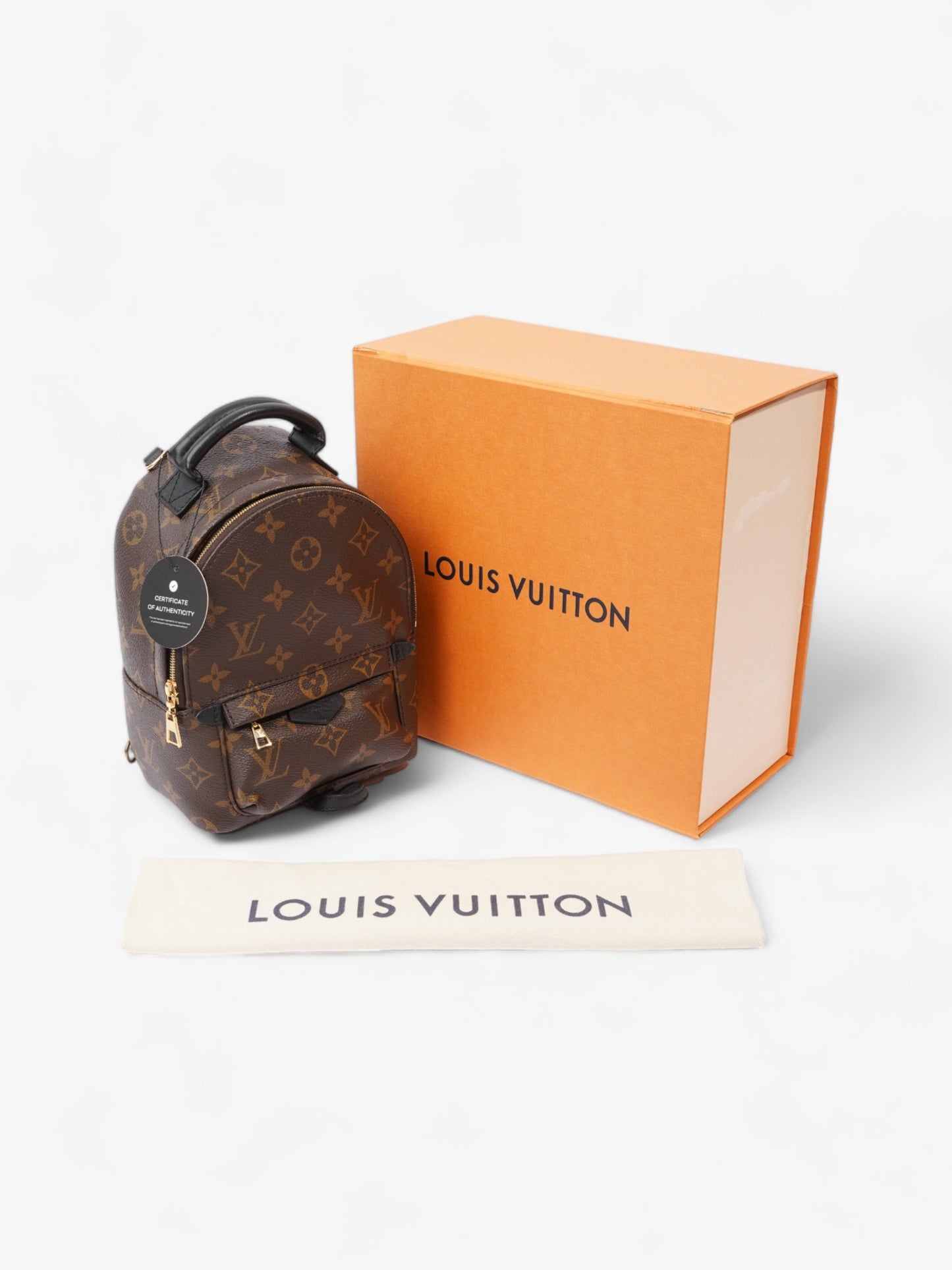 Louis Vuitton Palm Springs Monogram Coated Canvas Mini