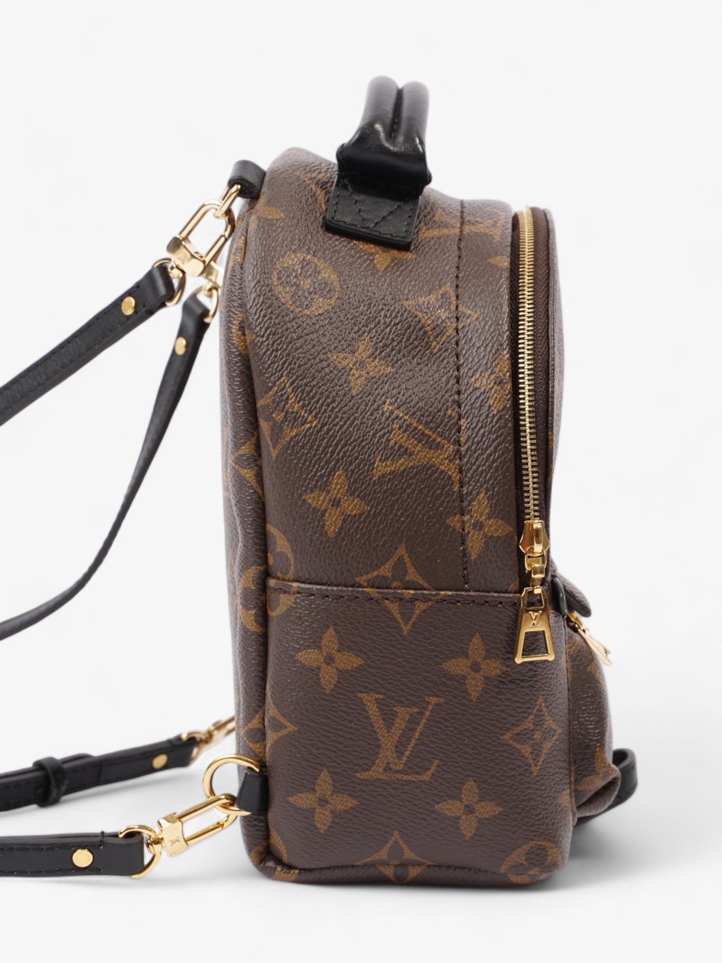 Louis Vuitton Palm Springs Monogram Coated Canvas Mini