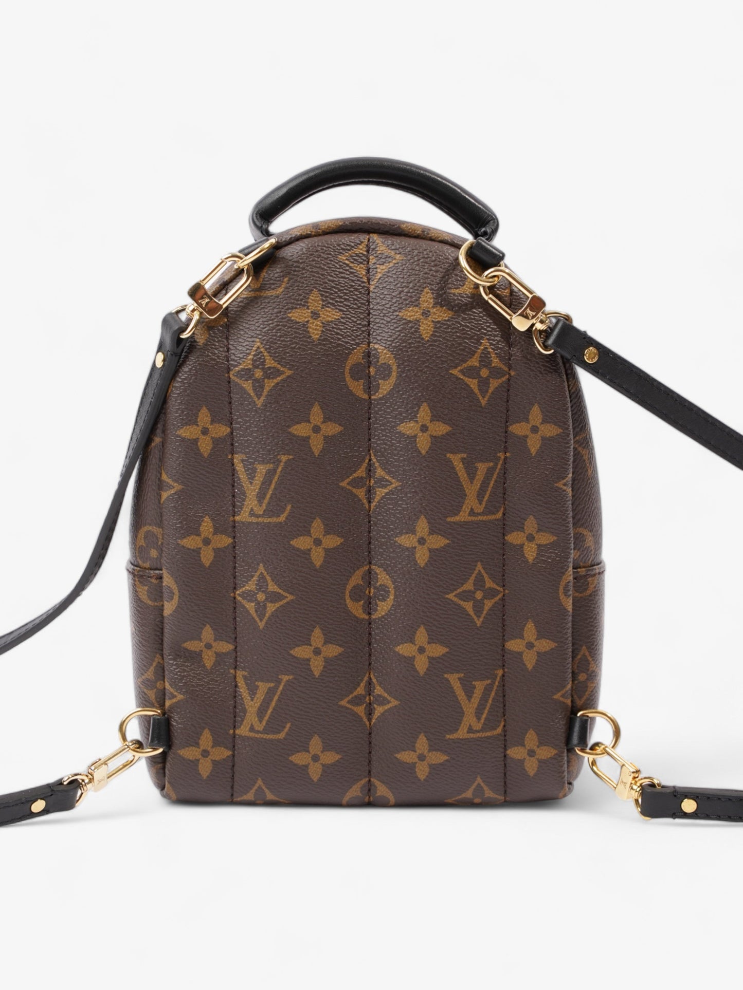 Louis Vuitton Palm Springs Monogram Coated Canvas Mini