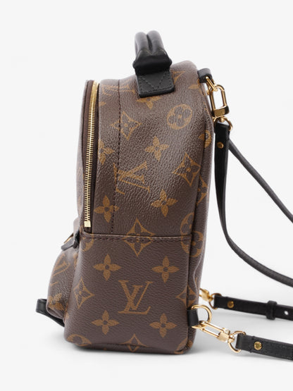 Louis Vuitton Palm Springs Monogram Coated Canvas Mini