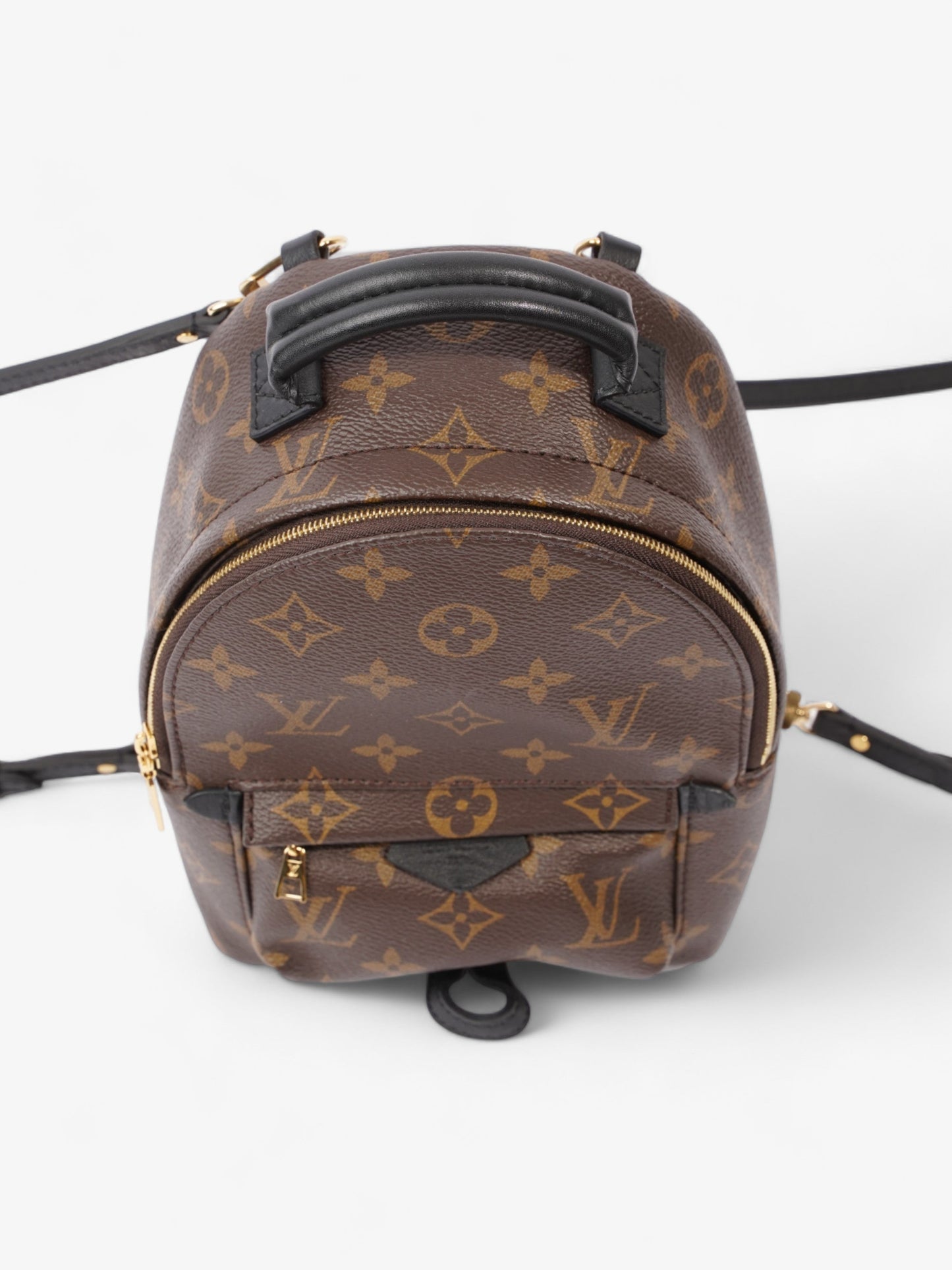 Louis Vuitton Palm Springs Monogram Coated Canvas Mini