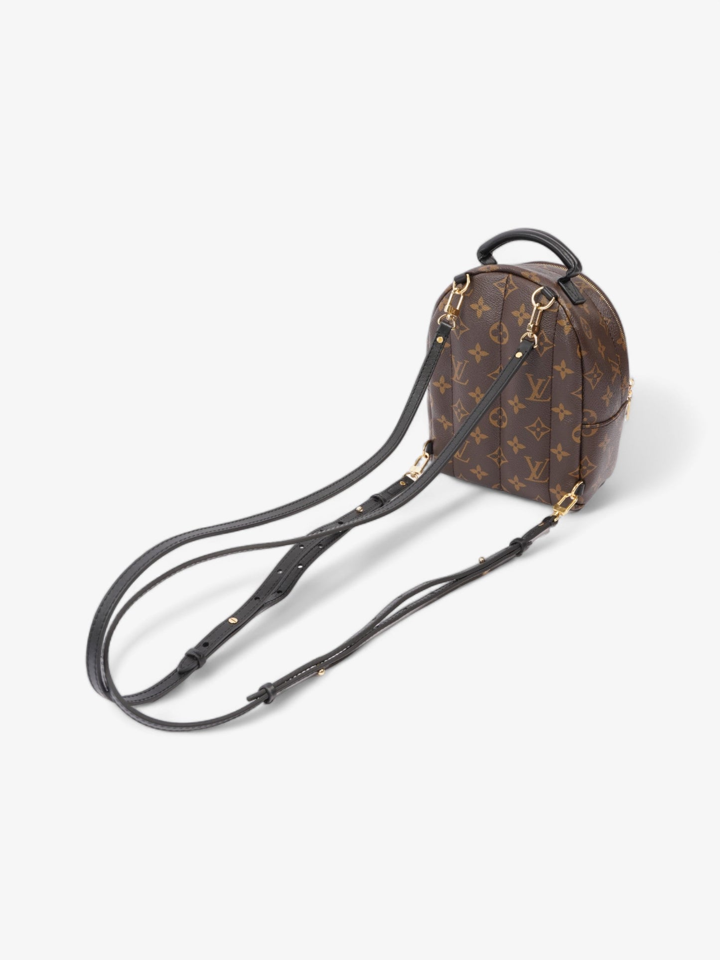 Louis Vuitton Palm Springs Monogram Coated Canvas Mini