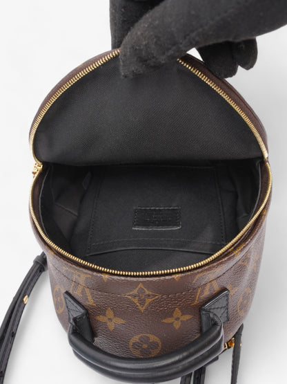 Louis Vuitton Palm Springs Monogram Coated Canvas Mini