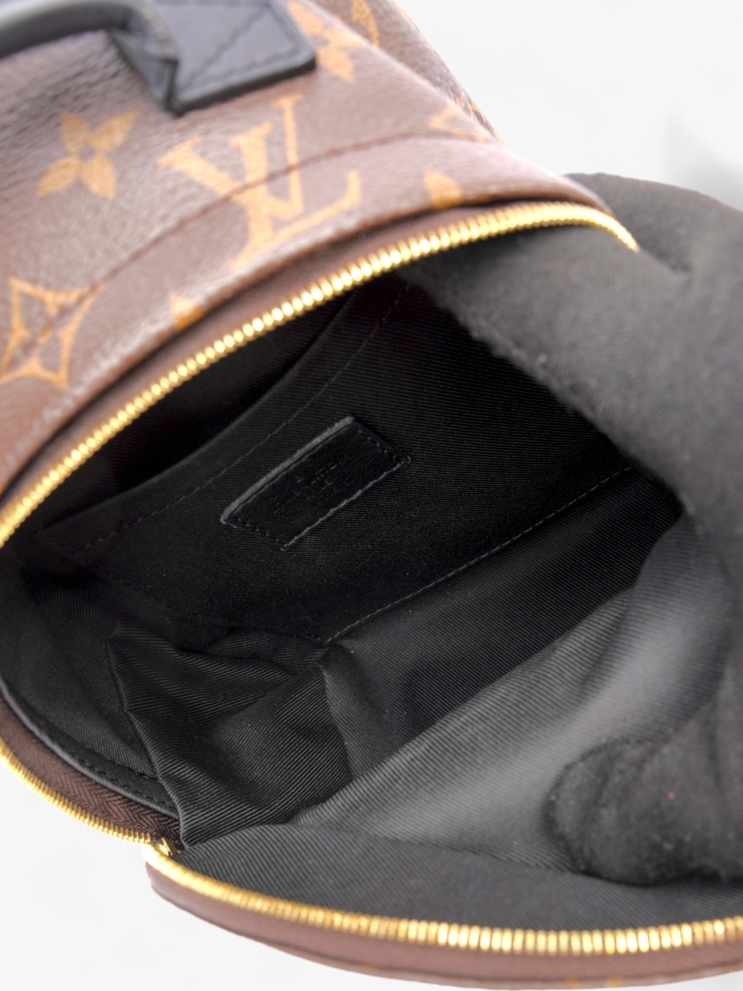 Louis Vuitton Palm Springs Monogram Coated Canvas Mini
