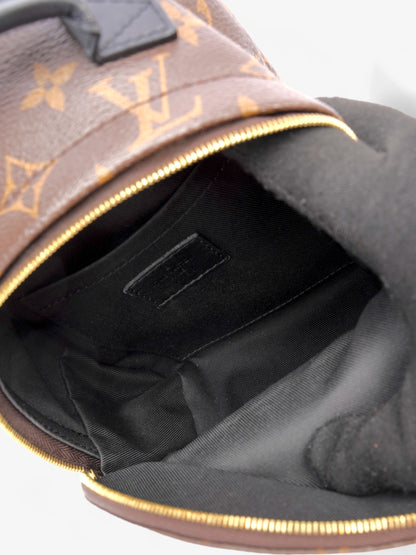 Louis Vuitton Palm Springs Monogram Coated Canvas Mini