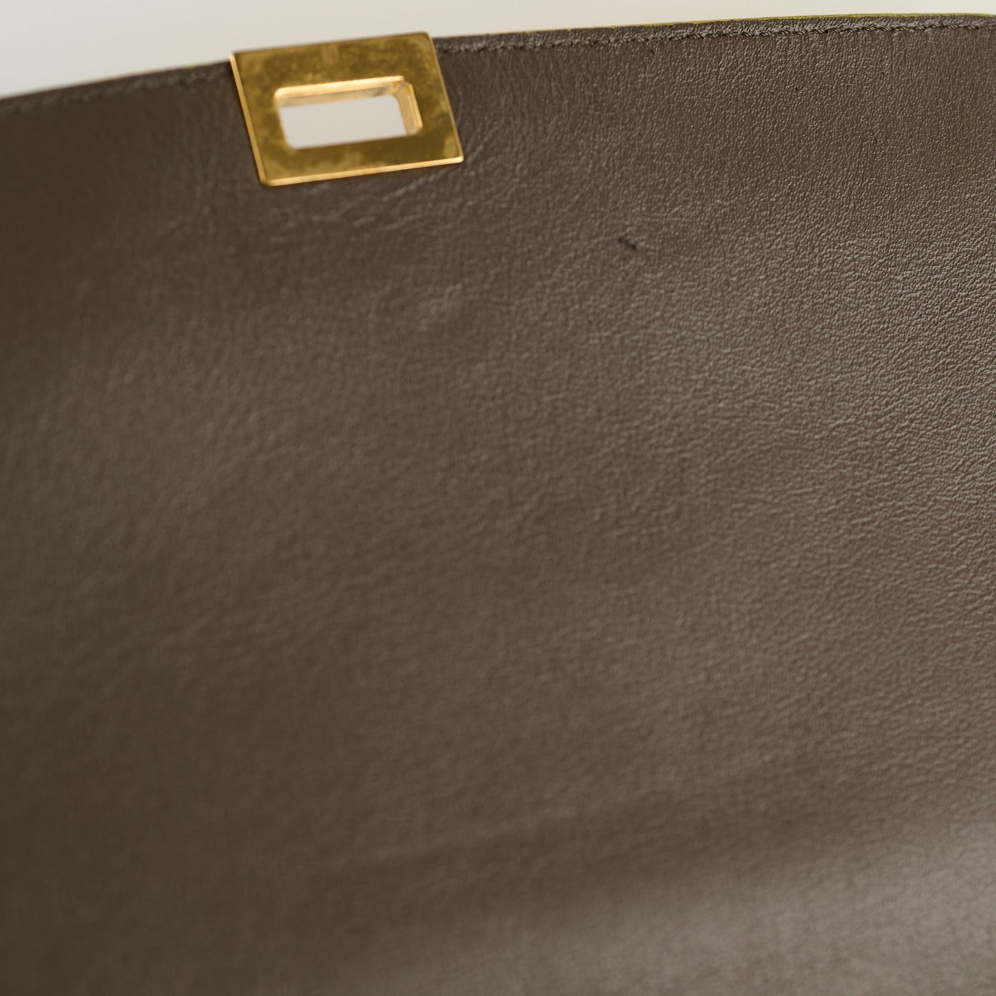 Celine Trapzez Medium Multicolor Bag