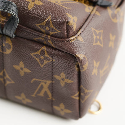 Louis Vuitton Mini Palm Spring Backpack Monogram