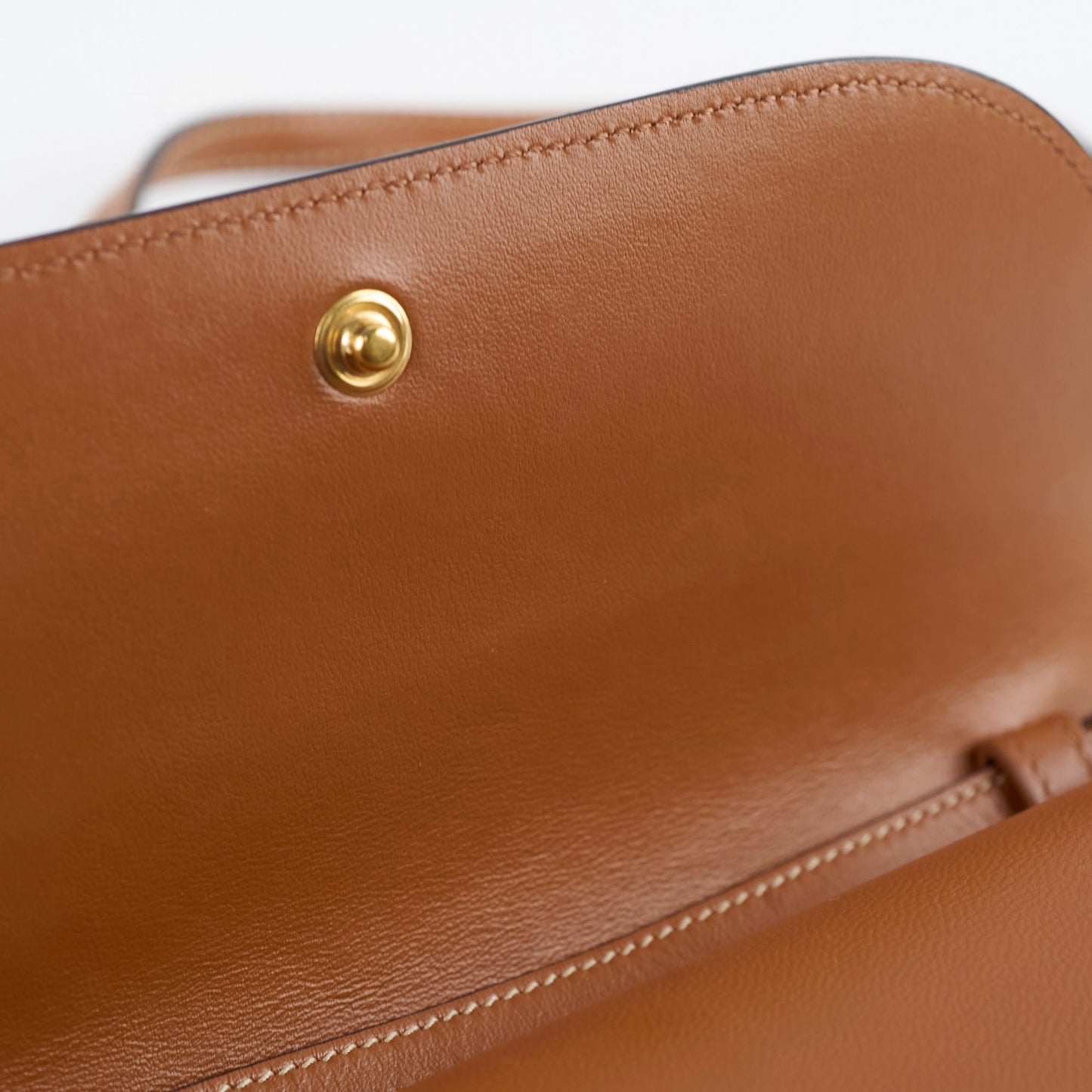 Celine Triomphe Canvas Wallet on Strap