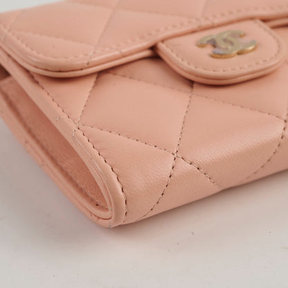 Chanel Card Holder On Chain Nude 31 Series
