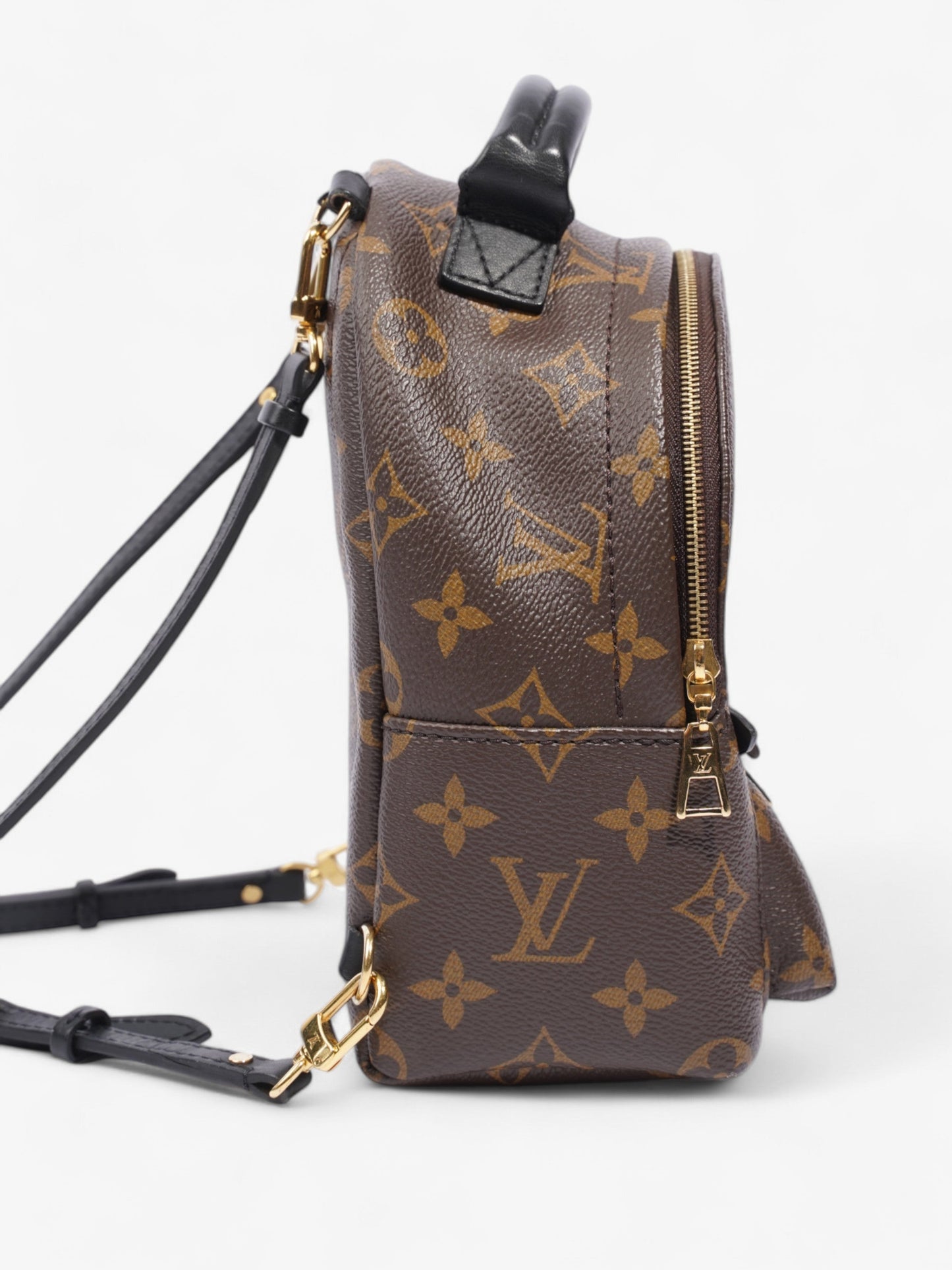 Louis Vuitton Palm Springs Monogram / Black Canvas Mini