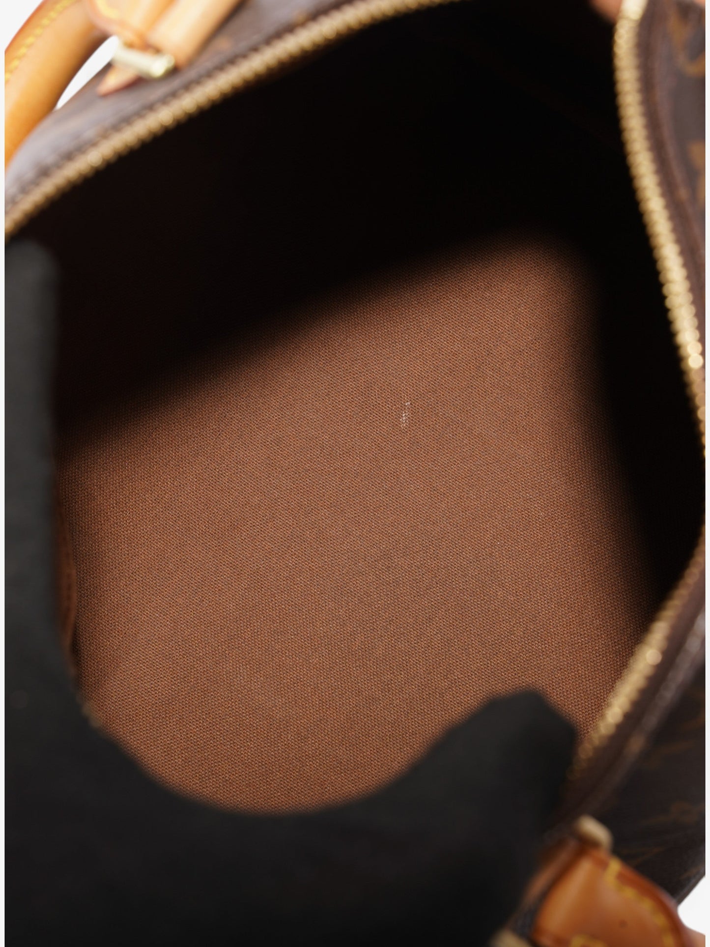 Louis Vuitton Speedy Monogram Coated Canvas 25