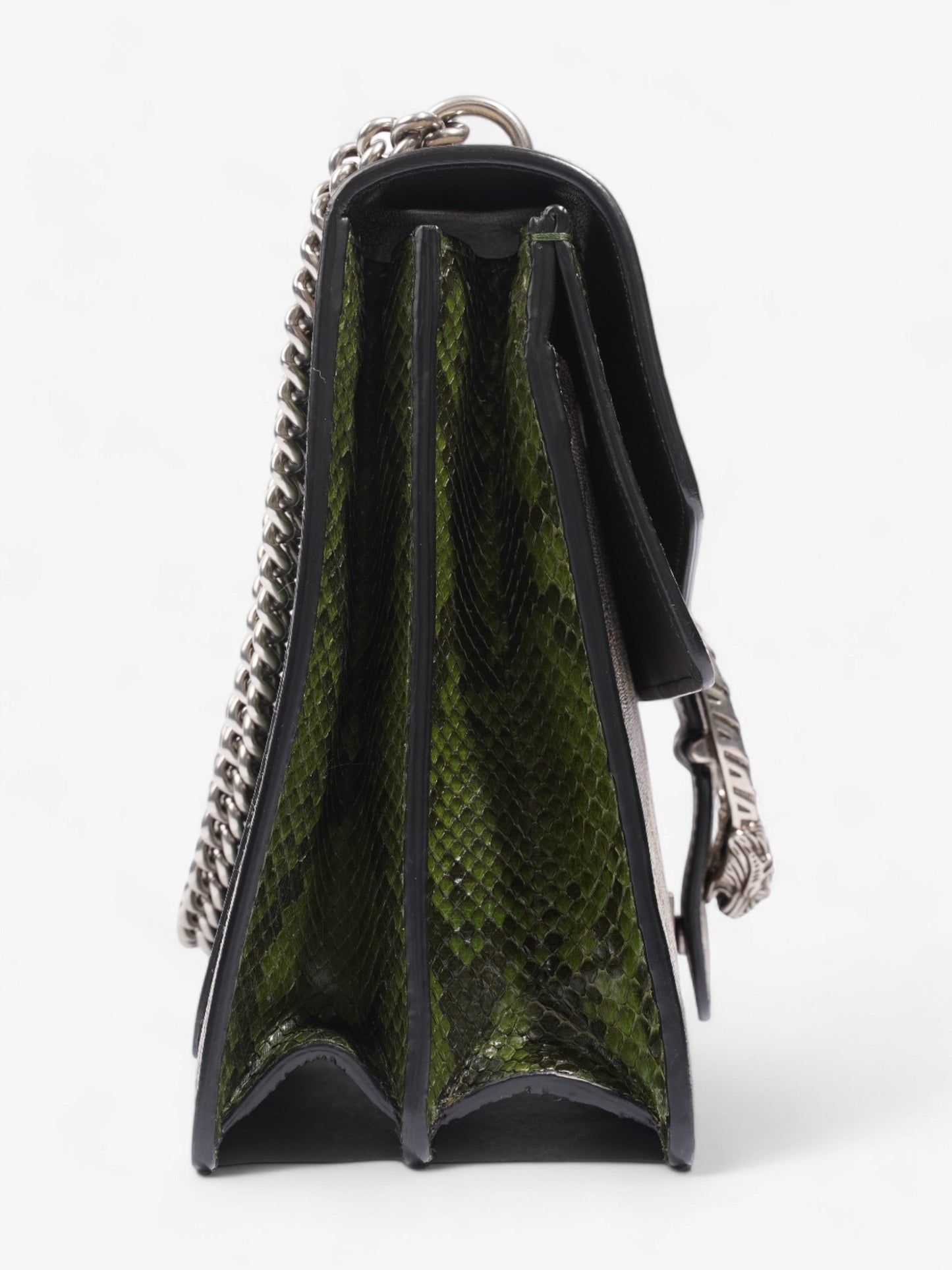 Gucci Dionysus Supreme / Green Python Coated Canvas Medium