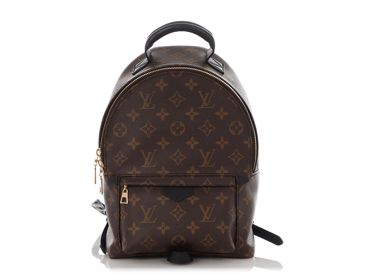 Louis Vuitton Monogram Palm Springs PM