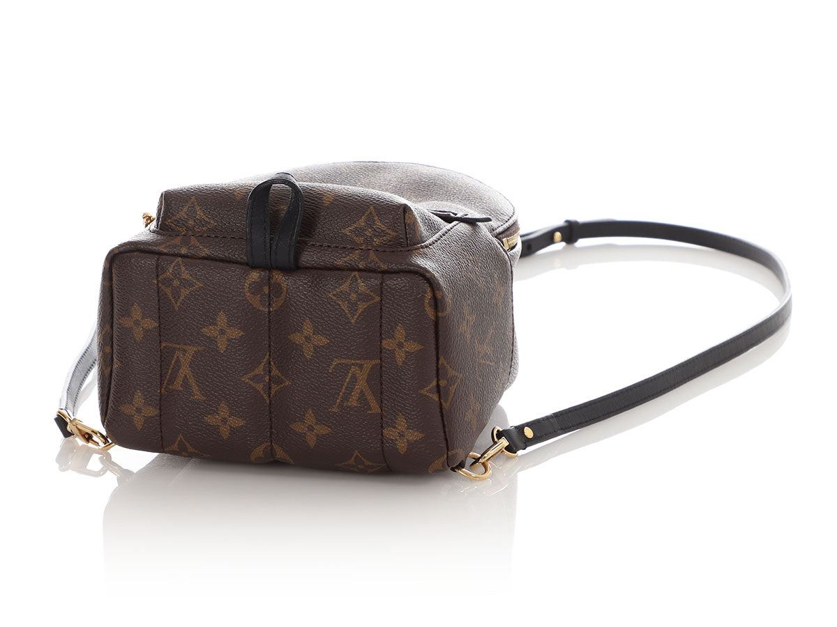 Louis Vuitton Mini Monogram Palm Springs Backpack