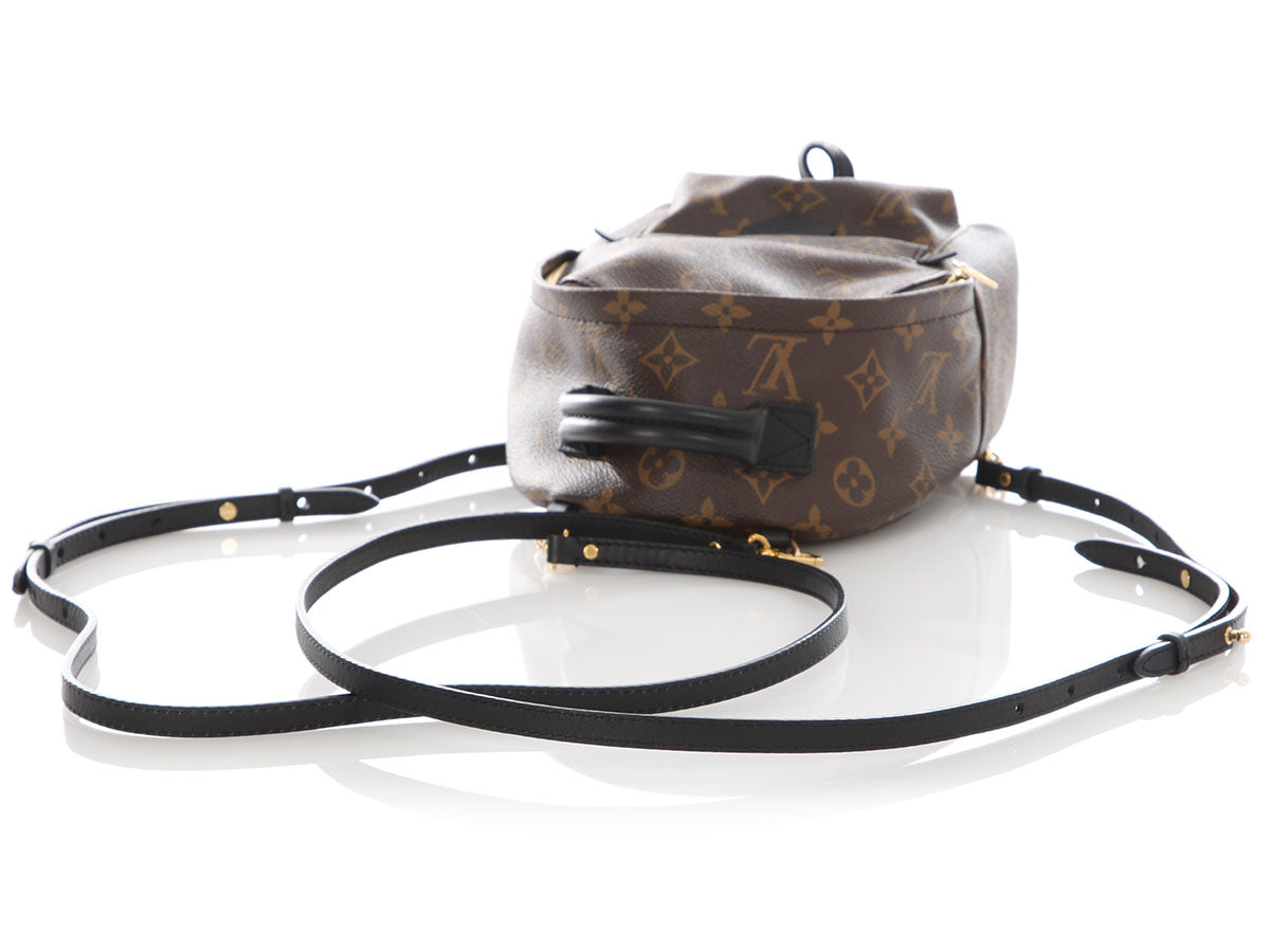 Louis Vuitton Mini Monogram Palm Springs Backpack